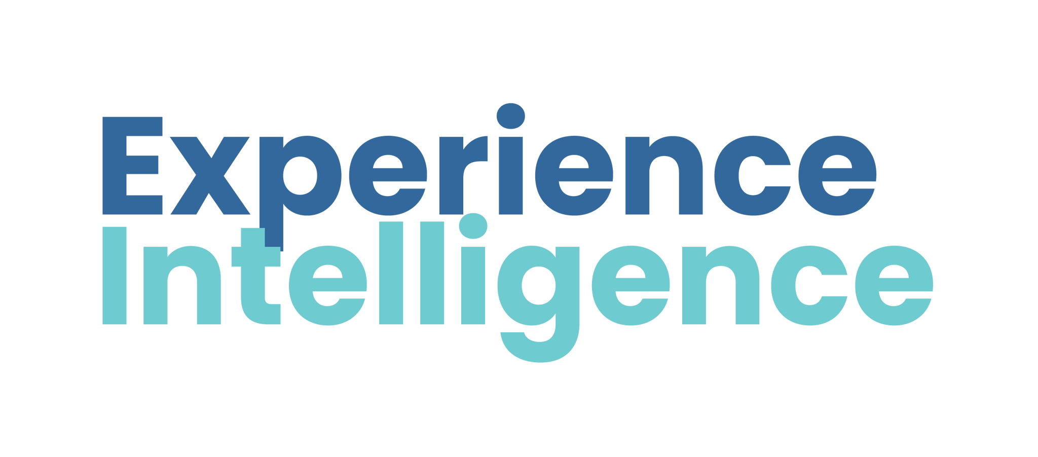 Experience Intelligence